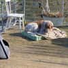 Rudi sucht zweite Chance