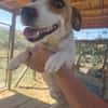 Shirley sucht ein Zuhause