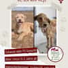 Nese sucht ab November ein Zuhause