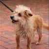 ***LILLY - fitte Seniorin!***