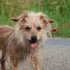 ***LILLY - fitte Seniorin!***