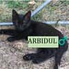 ARBIDUL  A RESERVER