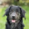 JAMPY2 * sportlicher Schmuser
