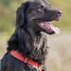 JAMPY2 * sportlicher Schmuser