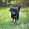 JAMPY2 * sportlicher Schmuser