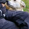 CHITA -sucht ein neues Zuhause-