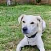 CHITA -sucht ein neues Zuhause-