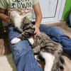 FANNY - liebt kuscheln und schmusen!
