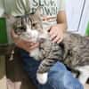 FANNY - liebt kuscheln und schmusen!