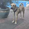 Lina sucht ihre Familie