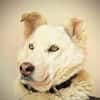 AMBERBLUE -freundlich & unkompliziert-