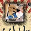 Railey