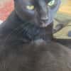 Athos