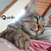 QUENTIN