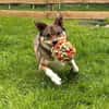 Verliebst du dich in Chicco?