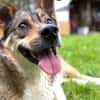 Verliebst du dich in Chicco?