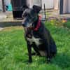 Bella8 sucht ein Zuhause