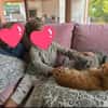 Chuck & Hank zwei liebevolle Kater