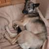 Wunderbare Nyura sucht ihre Familie