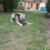 Wunderbare Nyura sucht ihre Familie