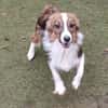 Lilli🧡🧡🧡schönes Plätzchen gesucht