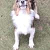 Lilli🧡🧡🧡schönes Plätzchen gesucht
