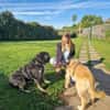 Dina - Familienhund