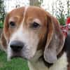 SNOOPY