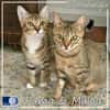Puma & Malou