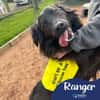 Ranger