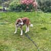 Verschmuste Nelly❤ sucht liebes Heim