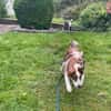 Verschmuste Nelly❤ sucht liebes Heim