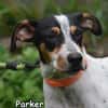 PARKER