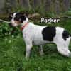 PARKER