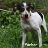 PARKER