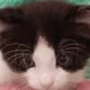 AIME