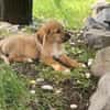 Athena sucht Dich!