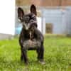 PAULA - sucht dringend HOSPIZ-PLATZ !!!