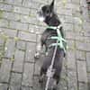 PAULA - sucht dringend HOSPIZ-PLATZ !!!