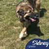 Sidney