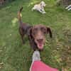 Mina💜💜💜 Für-immer-Zuhause gesucht