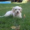 BUBIKO sucht liebes Zuhause