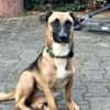 Kleine Lady sucht ihr Für-Immer-Körbchen