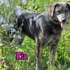 Ria geb. 07/2021 DRINGENDER NOTFALL! DE