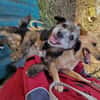 Uschi und Jack - Unzertrennlich
