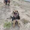 LUFY  (Patas Jumila)