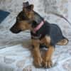 ABBY (Maria)