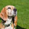 Paula, muntere Seniorin sucht Dich ❤