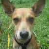 Sol6 sucht ein Zuhause