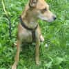 Sol6 sucht ein Zuhause